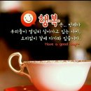 충무국수 이미지