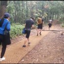 프로팀스타 복싱 이미지