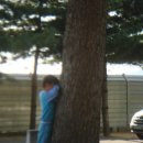 삼생초등학교 이미지