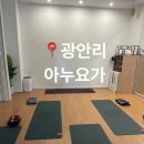 아누요가 네이버블로그