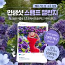 도초 만년사 | 여름 수국 축제 배로 가는 섬 수국축제 도초 수국 축제 일정