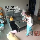 [나혼자 산다] 강아지 키우는 사람들 공감 .gif 이미지