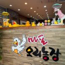 도열농장 이미지