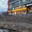 동천칼국수 | 부모님 모시고 가기 좋은 수지 동천 칼국수 맛집 '장원갑칼국수' (샤브칼국수, 해물파전 후기)
