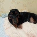 대전대흥초등학교 이미지