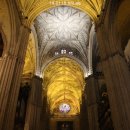 스.포.모 여행14 - 유럽 최대의 고딕 성당, 세비야 대성당 이미지