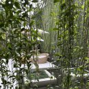 롯데마트 | 다낭 가족여행 둘째날 일정 :: 포박하이·한시장·목식당·롯데마트 후기