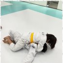 리더 유도짐 이미지