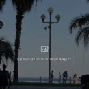 골드카 | 🇫🇷6. 니스 3일차 / 남프랑스 렌트 골드카 비추 / 빌프랑슈쉬르메르, 에즈빌리지