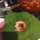 신쭈 이미지