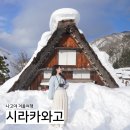 나고야 근교 일본 소도시 시라카와고(전망대, 쓰리하우스 위치)