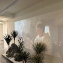 베리하우스 이미지