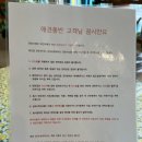 양양크랩 | 강릉 주문진 맛집 | 양양크랩 애견동반식당 추천 내돈내산 후기