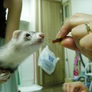 아롱다롱 이미지