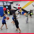 용인대대영태권도 이미지