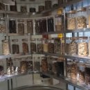 아현재한의원 이미지