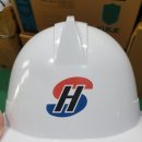 고성나염