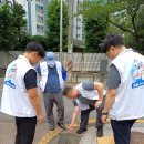 강서구-11 이미지