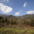 엄마청소년수련원 이미지