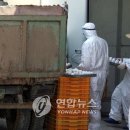 호남부화장 연합뉴스