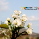 구례의길(섬진강길) 이미지