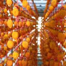 성준농장 이미지