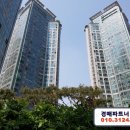 정자동 소로1 네이버블로그