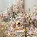 둥이카 | [더비앙 송도] 둥이 돌잔치 후기