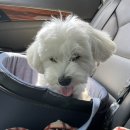 신우리냉면 이미지