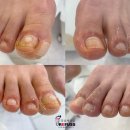레푸스강남세곡점 이미지