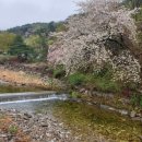 샘양지 마을 네이버블로그
