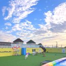 퍼피타운커피 이미지