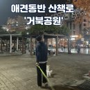 거북공원(농구장) 이미지