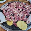 솔향오리농원 이미지