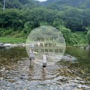 ⛱ 혼담의 첫 캠핑 - 제천에서 보낸 여름휴가 이야기 #엘림 펜션 캠핑장
