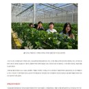 사벌초교 이미지