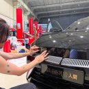 홍카센타 이미지