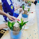 운유초병설유치원 이미지