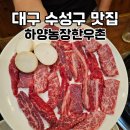 하양농장 | 대구 수성구 한우 맛집 하양농장한우촌, 주먹치 먹으러 갔다가 제대로 털린 후기
