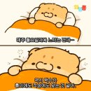 cu한주점~금손한의원 | 무덤덤한 일기ㅣ와펭퐁ㅣ직장인일기 [12월 1째주]