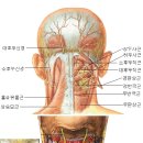 목과 어깨 등의 통증을 없애는 방법 이미지