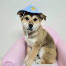 구산면820 티스토리