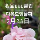 비앤디 이미지