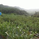 입암농장 이미지