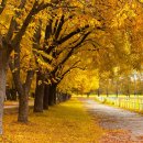 목동동로6길 이미지