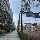 성남제일초등학교 | 임장후기)성남시 중원구 중앙동힐스테이트 2차 211동