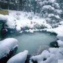설국 - 서초구 서초중앙로24길 3 | 설국