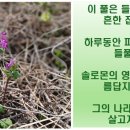 엘림수자원개발기술사사무소