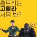 목빠진기린