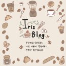 아니모네(Anemone)